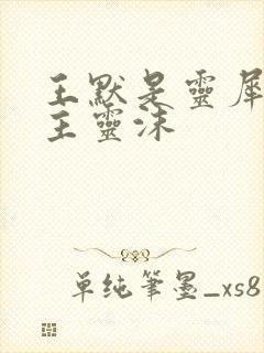 王默是灵犀阁公主灵沫