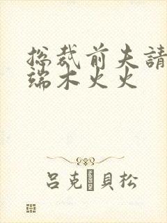 总裁前夫请自重端木火火