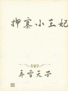 押寨小王妃
