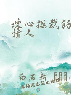 坏心总裁的女佣情人