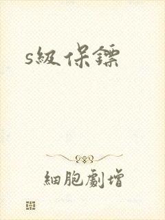 s级保镖