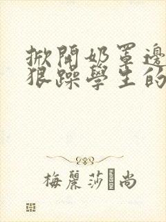 掀开奶罩边躁狠狠躁学生的小文字