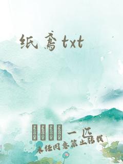 纸鸢txt