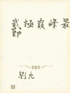 武极巅峰最新章节