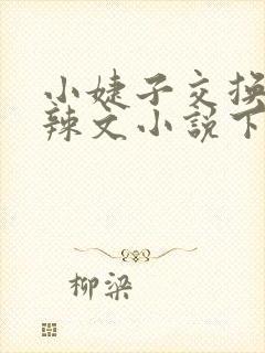 小婕子交换系列辣文小说下载