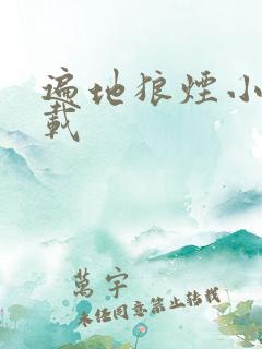 遍地狼烟小说下载