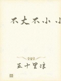 不大不小 小说