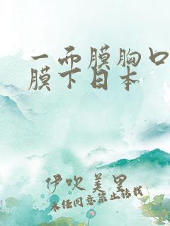 一面膜胸口一面膜下日本