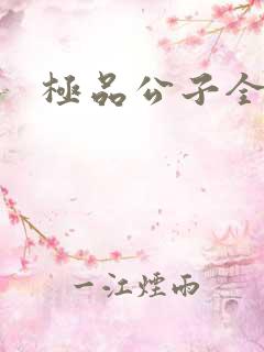 极品公子全集