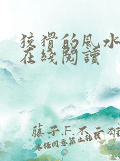 狡猾的风水相师在线阅读