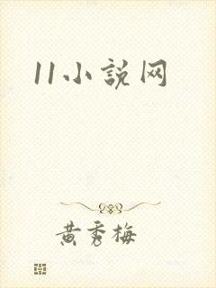 11小说网