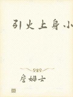 引火上身小说