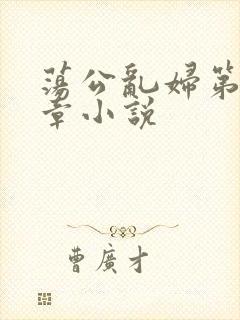 荡公乱妇第51章小说