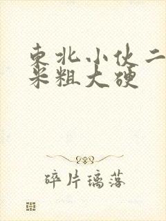 东北小伙二十厘米粗大硬