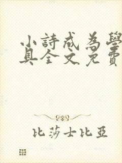 小诗成为学校教具全文免费阅读无弹窗