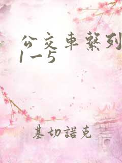 公交车系列合集1一5