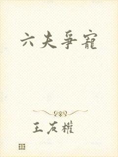 六夫争宠