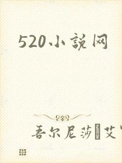 520小说网