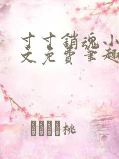 寸寸销魂小说全文免费笔趣阁