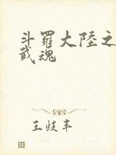 斗罗大陆之三生武魂