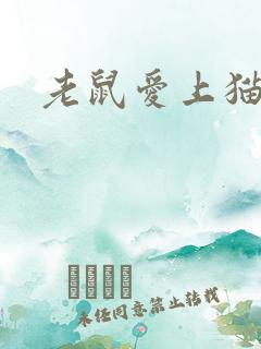 老鼠爱上猫下载