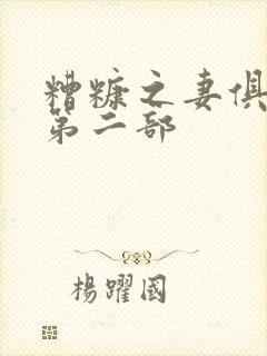 糟糠之妻俱乐部第二部