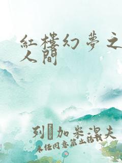 红楼幻梦之天上人间