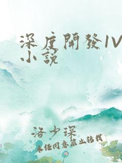 深度开发1V3小说