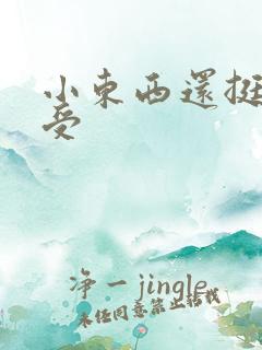 小东西还挺会享受