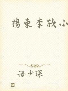 杨东李欣小说