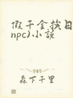 假千金挨日记(npc)小说