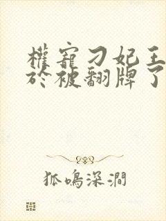 权宠刁妃王爷终于被翻牌了