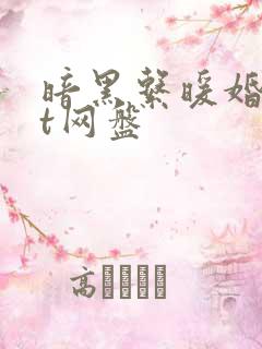 暗黑系暖婚txt网盘