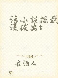 污小说总裁整夜没拔出t