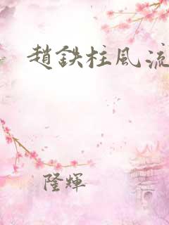 赵铁柱风流小说