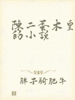 陈二蛋木皇真经的小说