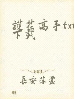 护花高手txt下载