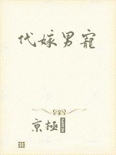 代嫁男宠
