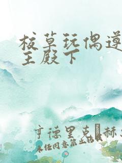 校草玩偶遵命公主殿下