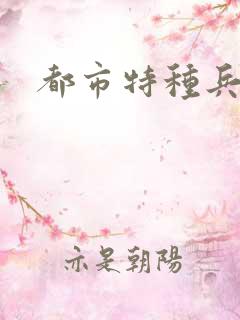 都市特种兵任天