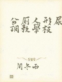 公厕人形尿便器调教学校