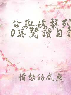 公与媳系列100集阅读目录小说