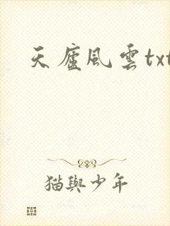 天庐风云txt