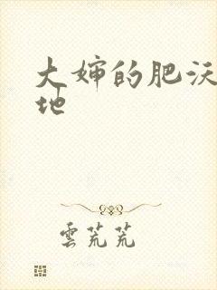 大婶的肥沃的土地