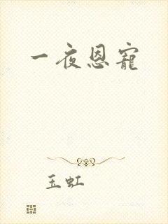 一夜恩宠