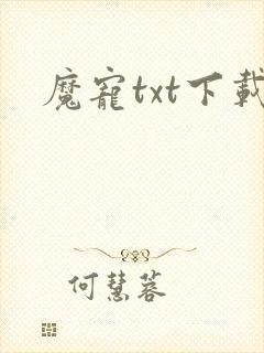魔宠txt下载