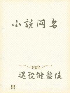 小说网名