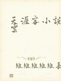 天涯客小说百度云