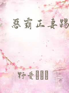 恶霸正妻踢娇妾