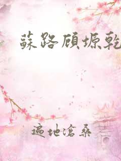苏路顾塬乾小说